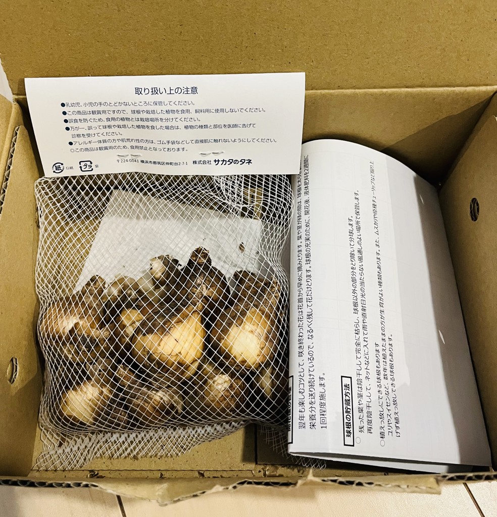 投稿写真
