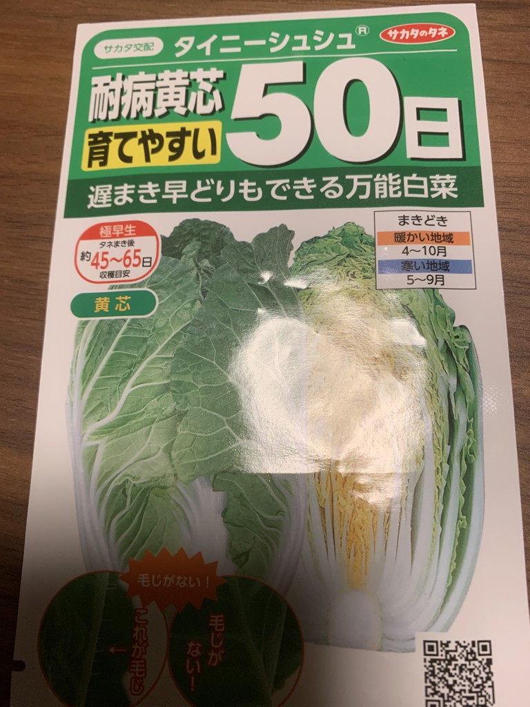 投稿写真