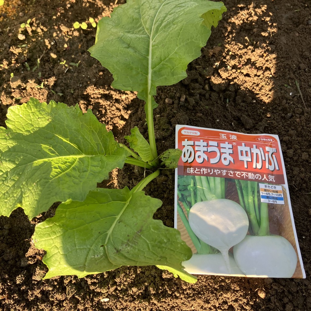 ユーザー写真