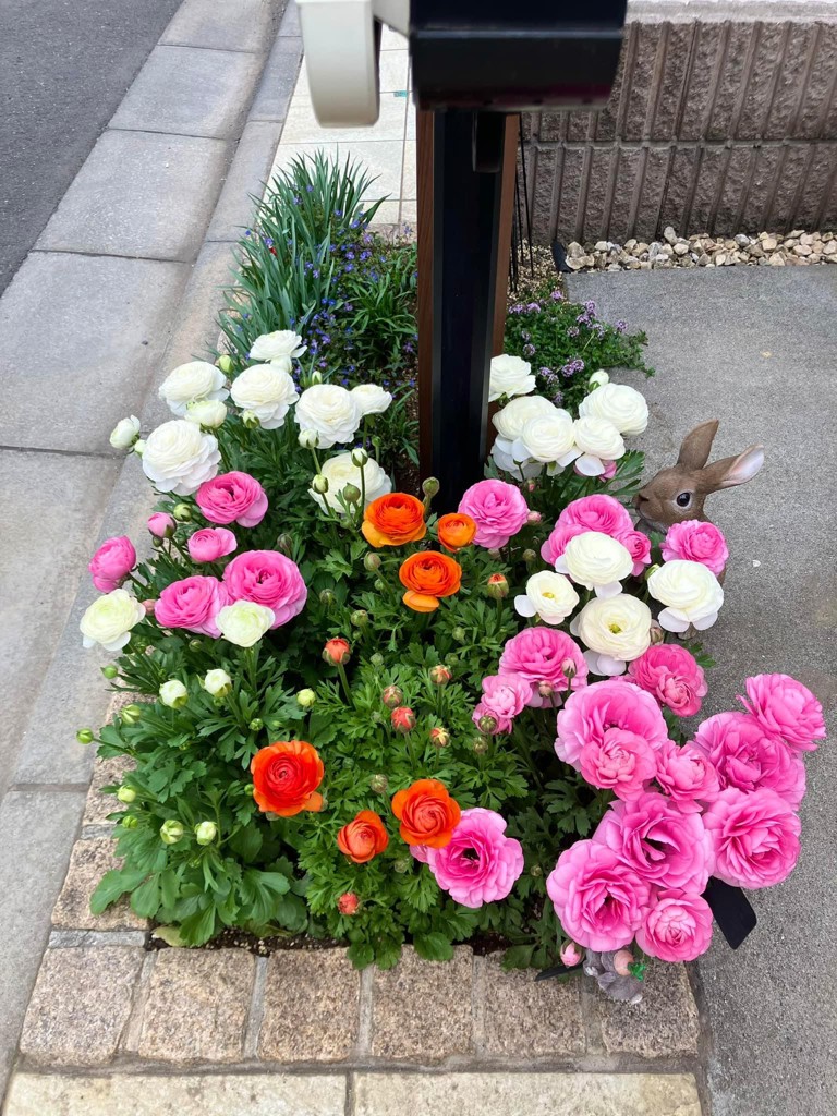 ユーザー写真
