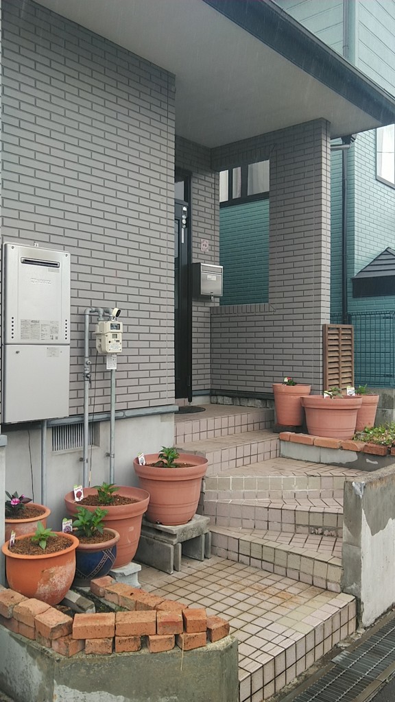 ユーザー写真