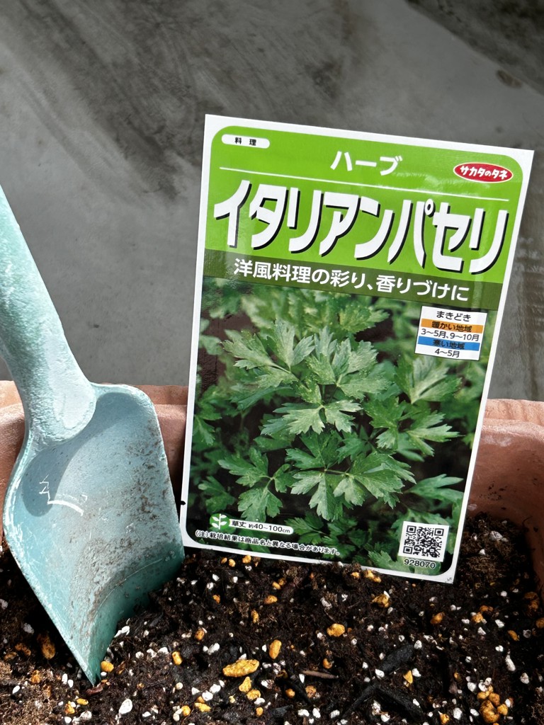 投稿写真