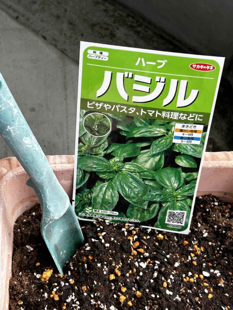 投稿写真