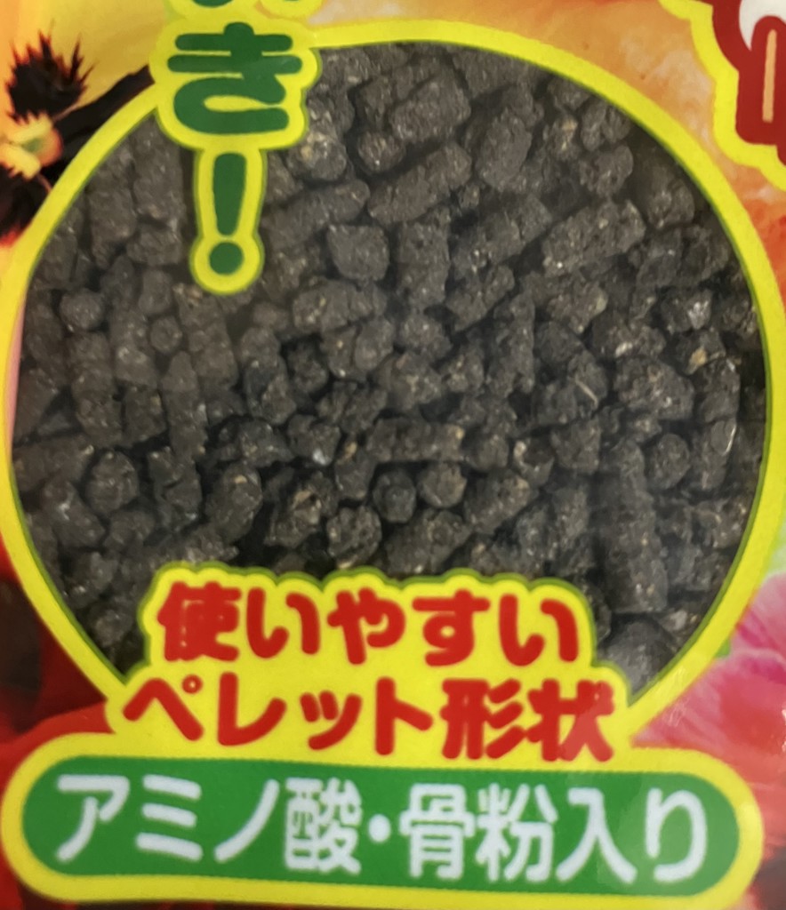 ユーザー写真