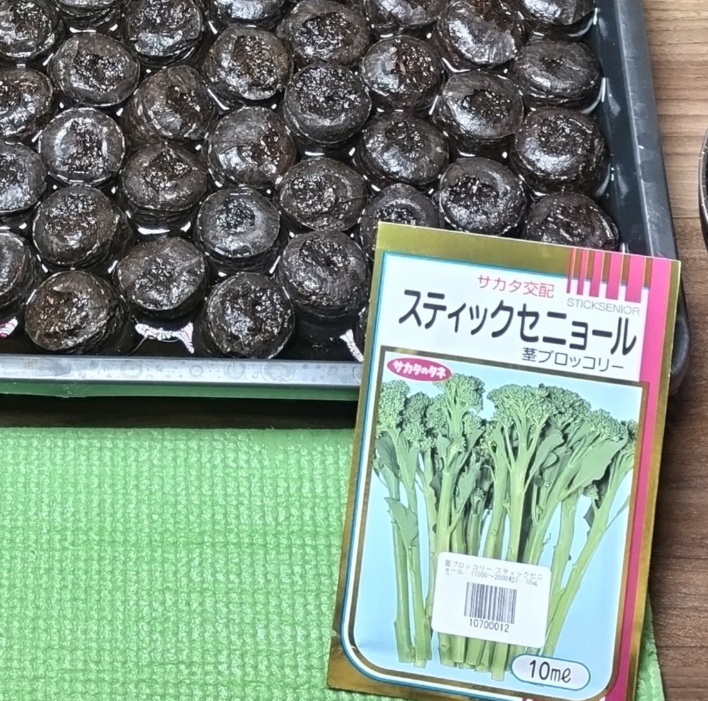 ユーザー写真