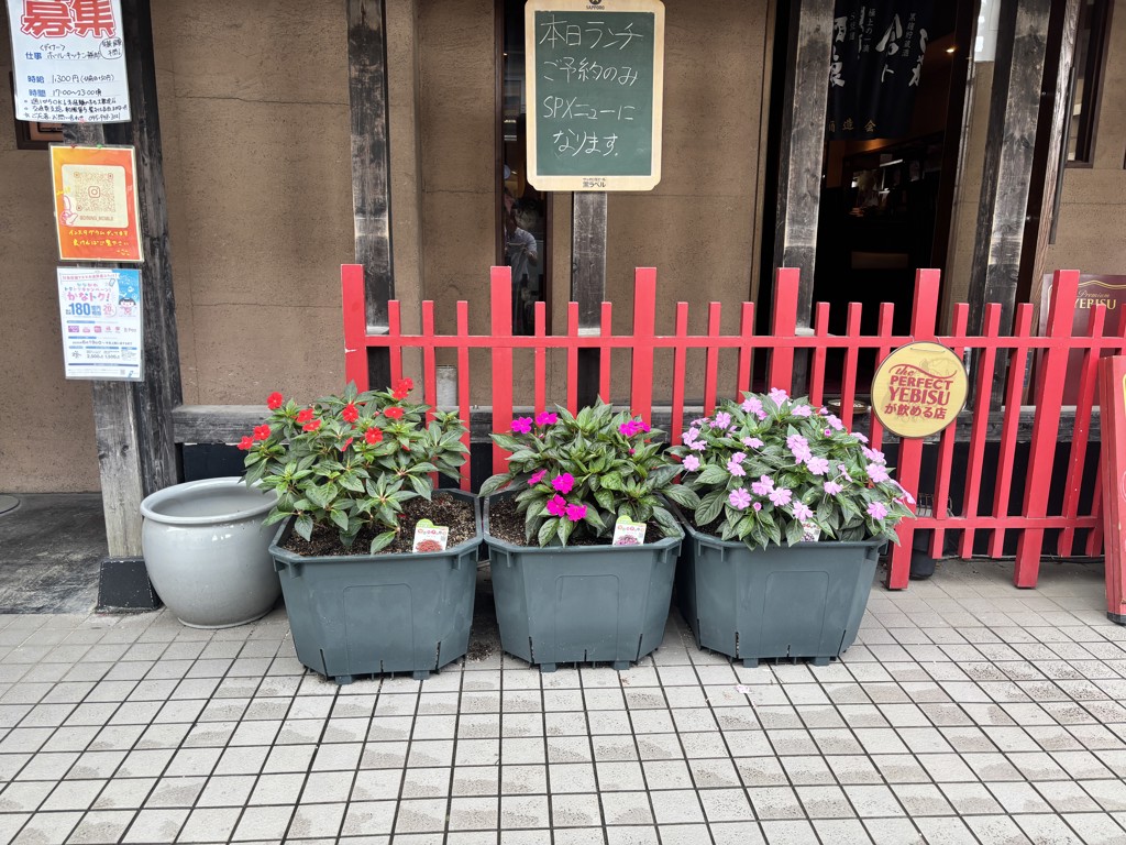 投稿写真