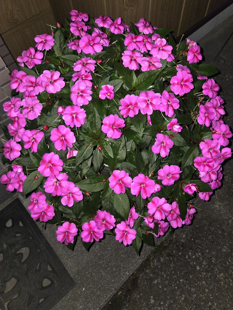 ユーザー写真