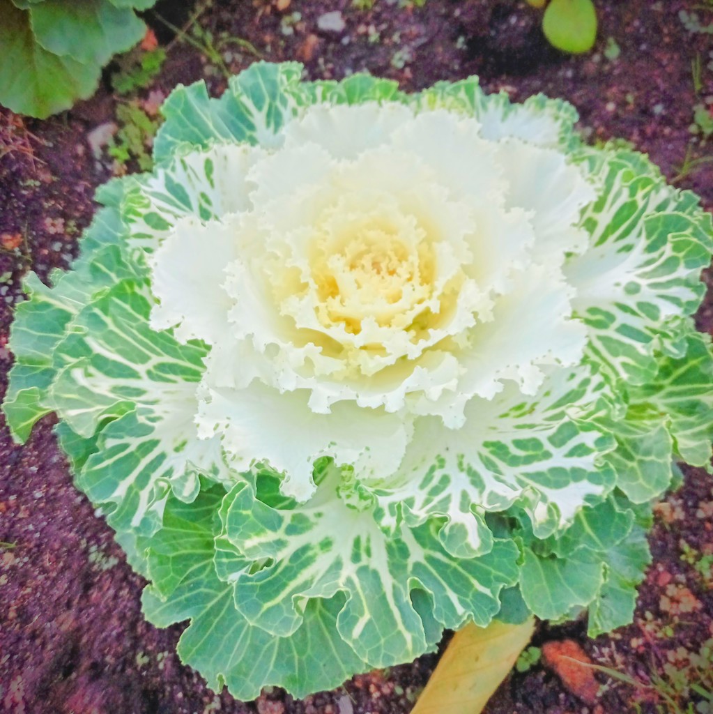 ユーザー写真