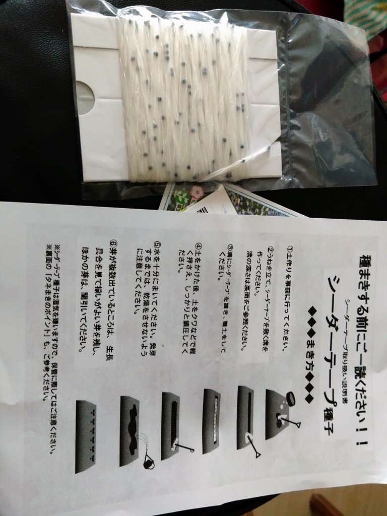 投稿写真