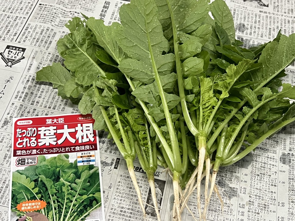 投稿写真