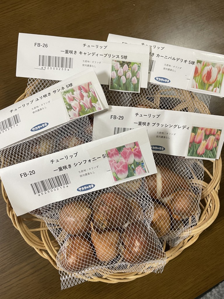 ユーザー写真