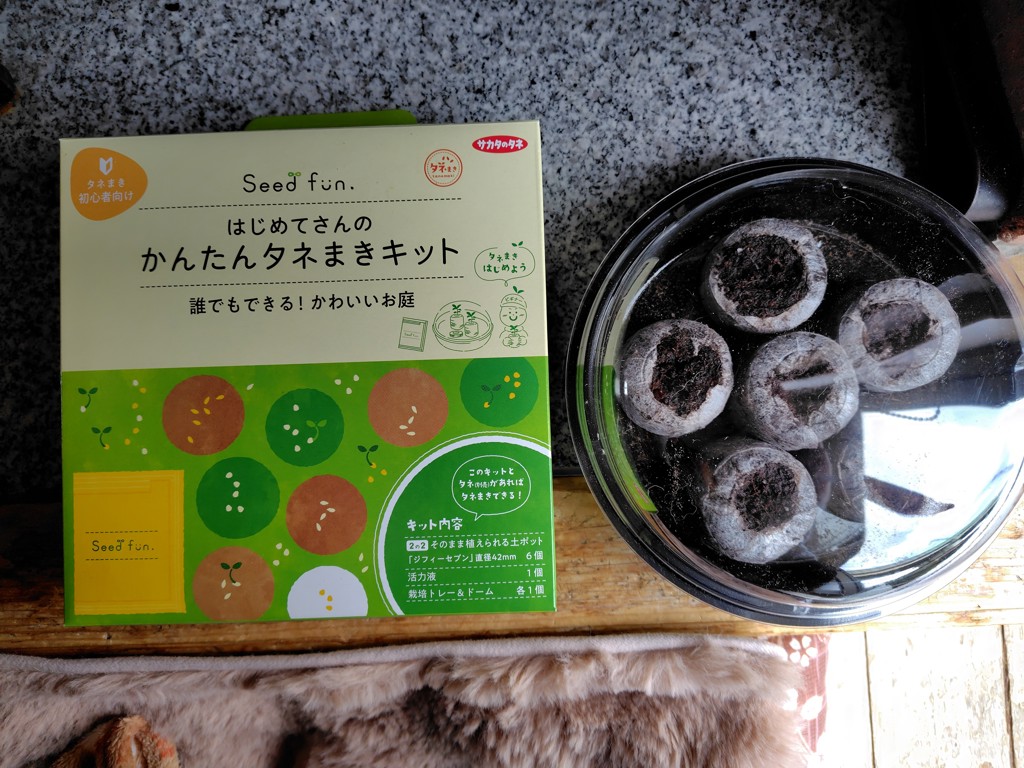 ユーザー写真