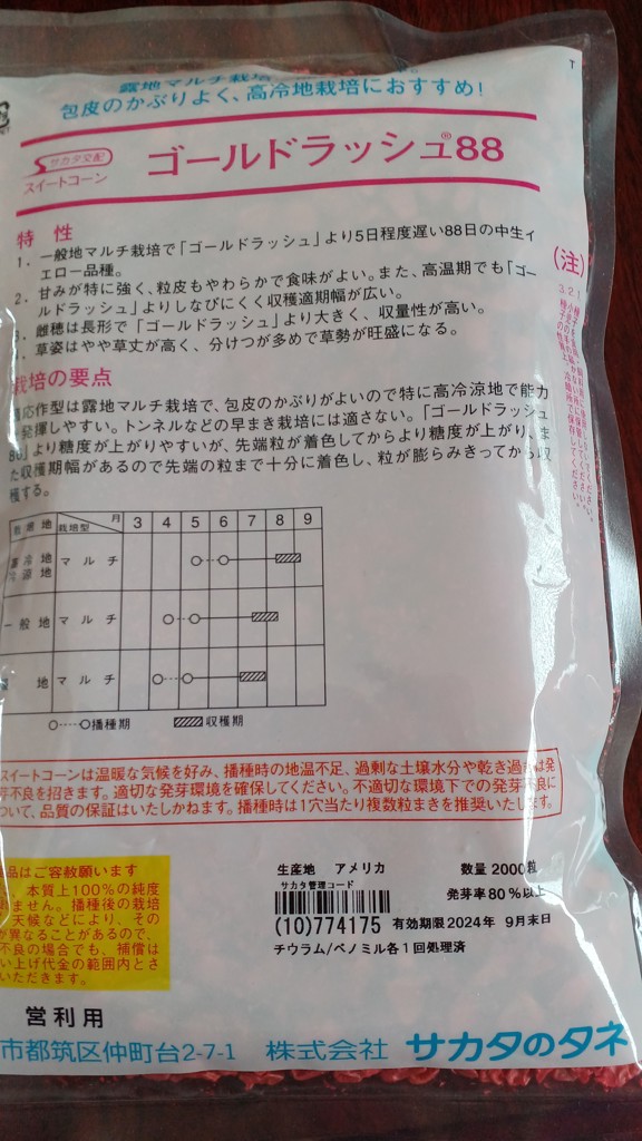投稿写真