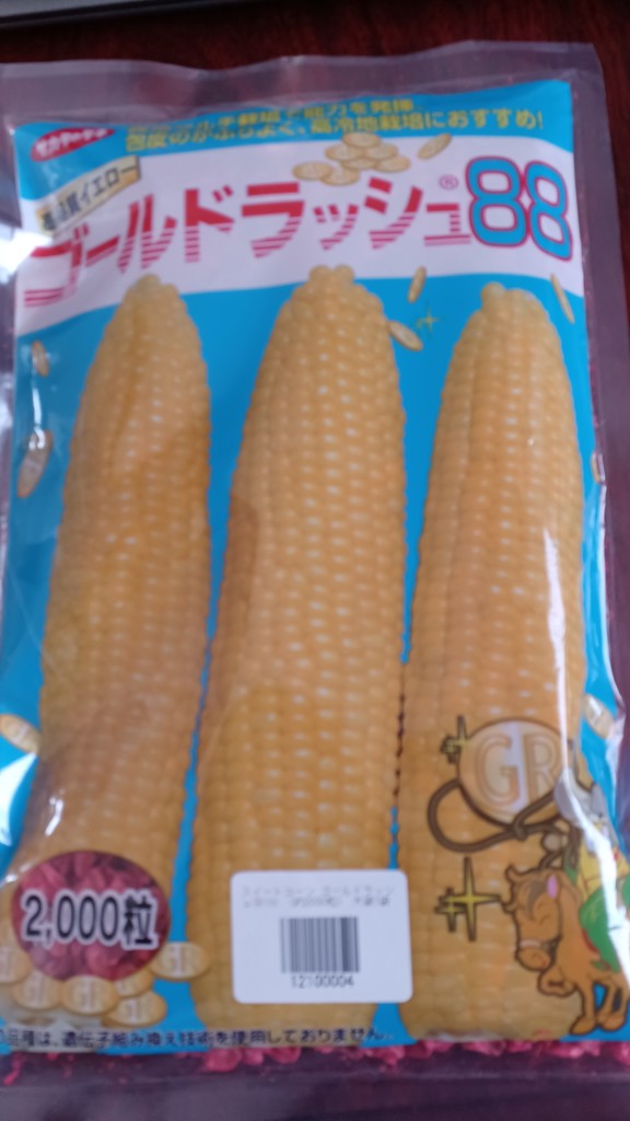 投稿写真