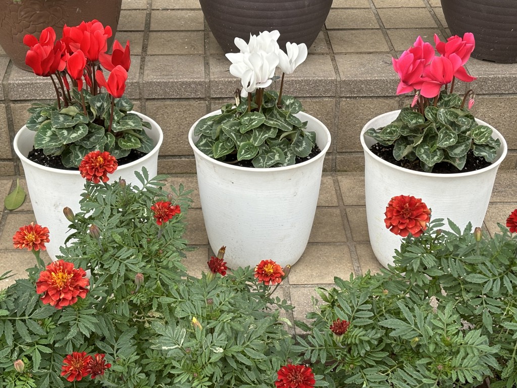 ユーザー写真
