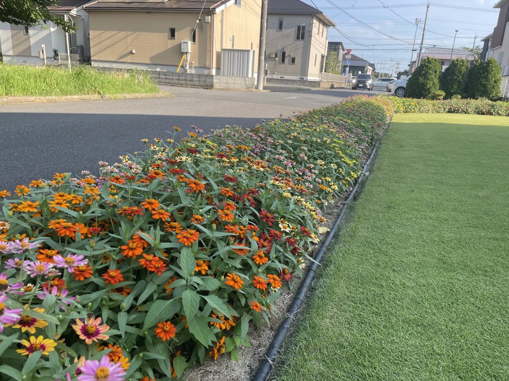 ユーザー写真