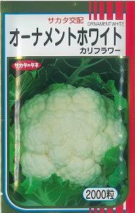 ユーザー写真
