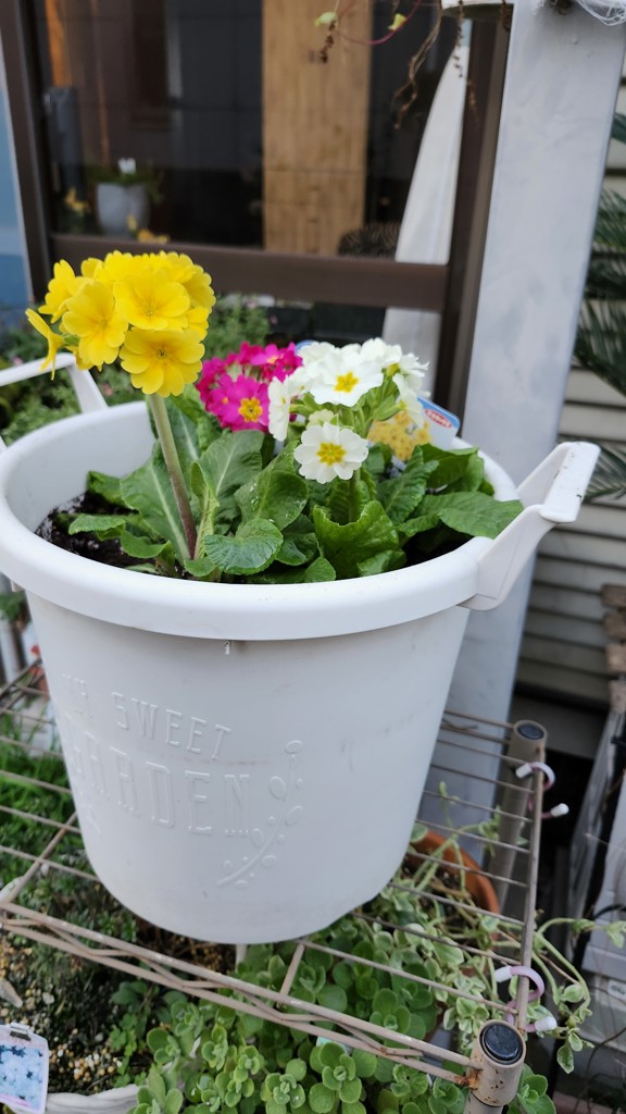 ユーザー写真
