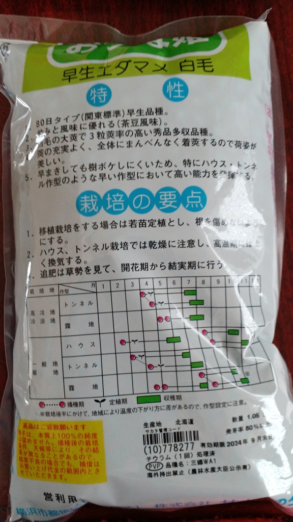 投稿写真