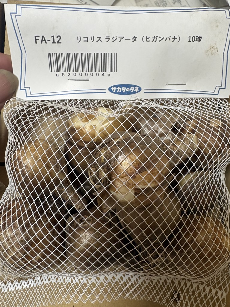 投稿写真