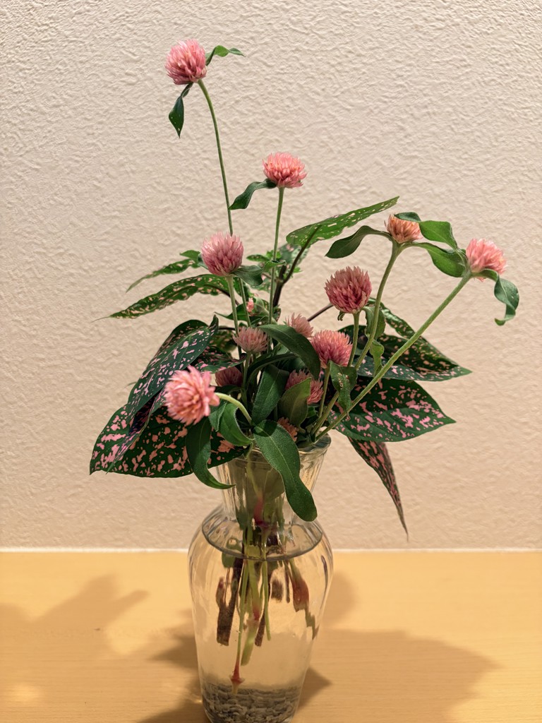 投稿写真