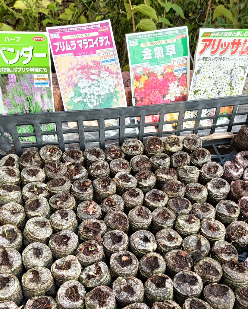 ユーザー写真