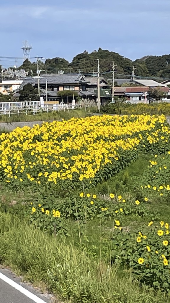 ユーザー写真
