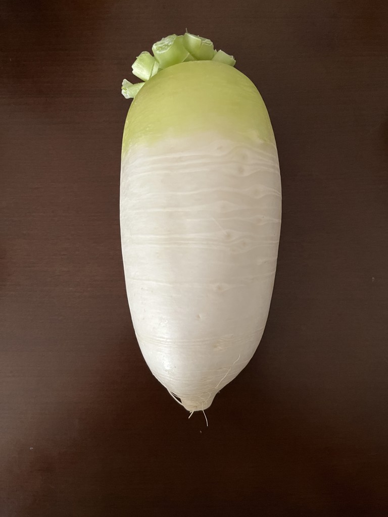 ユーザー写真