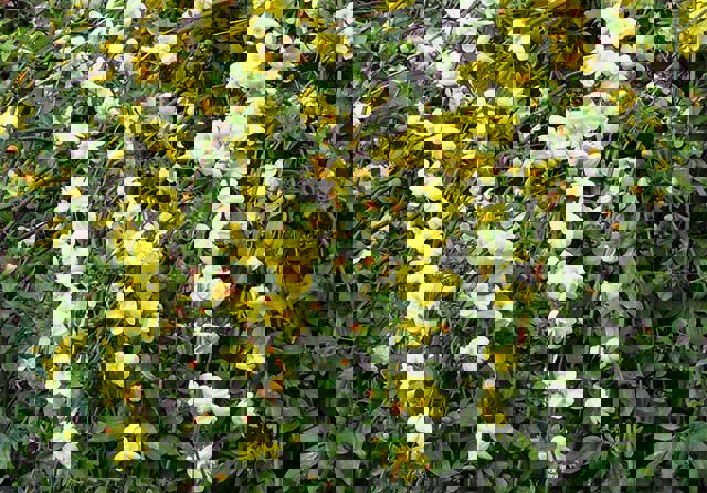 ユーザー写真