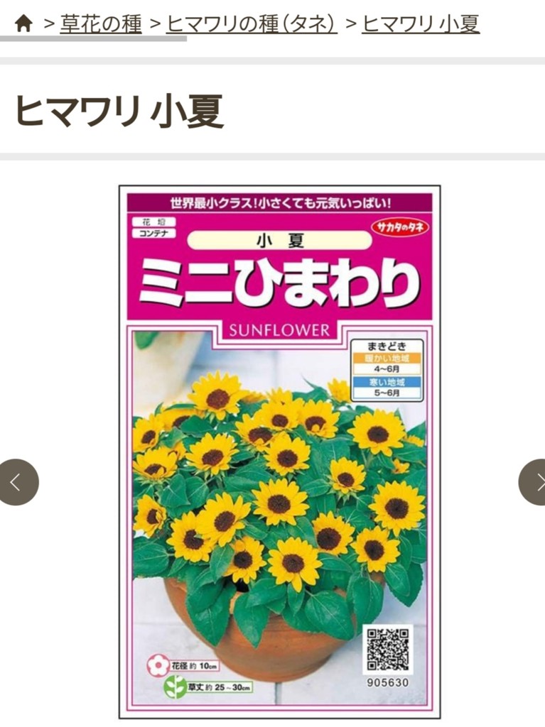 投稿写真