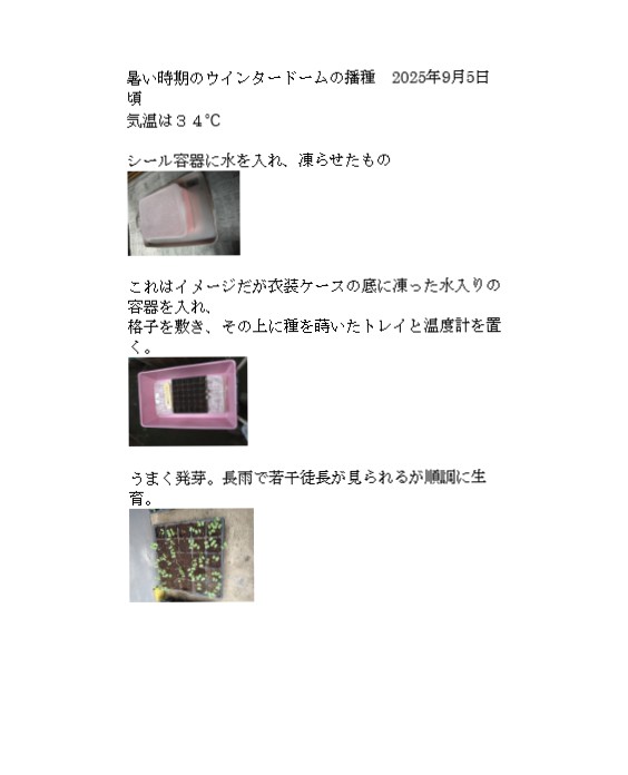 ユーザー写真