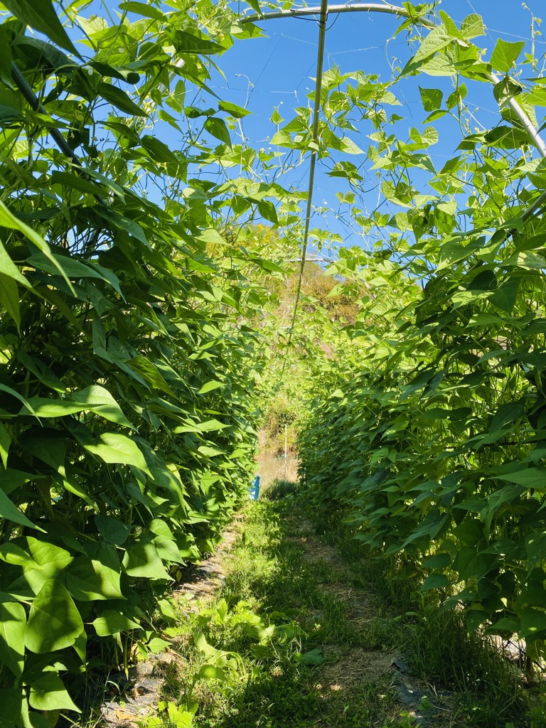 ユーザー写真