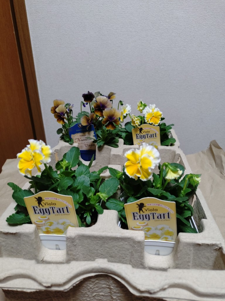 ユーザー写真