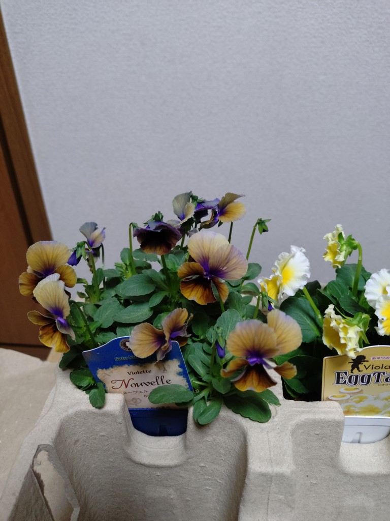 ユーザー写真