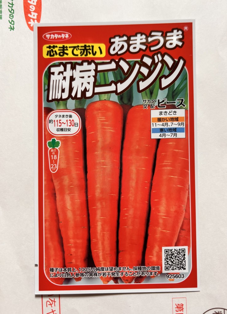 投稿写真