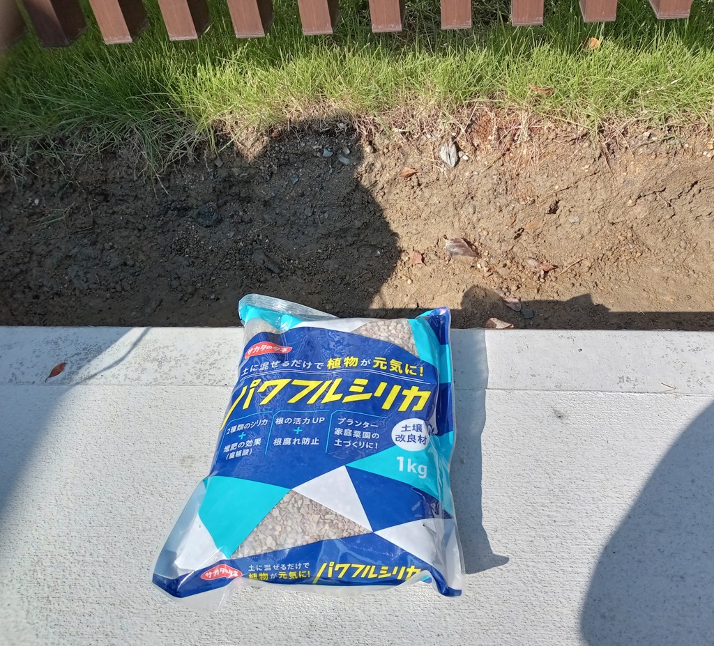 投稿写真