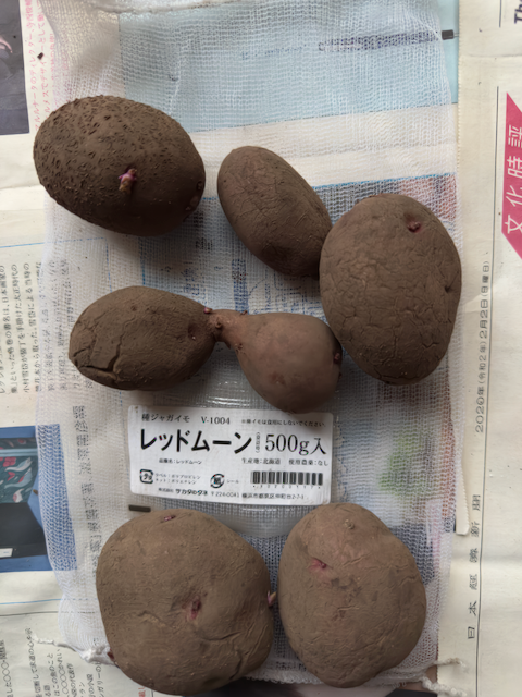 ユーザー写真