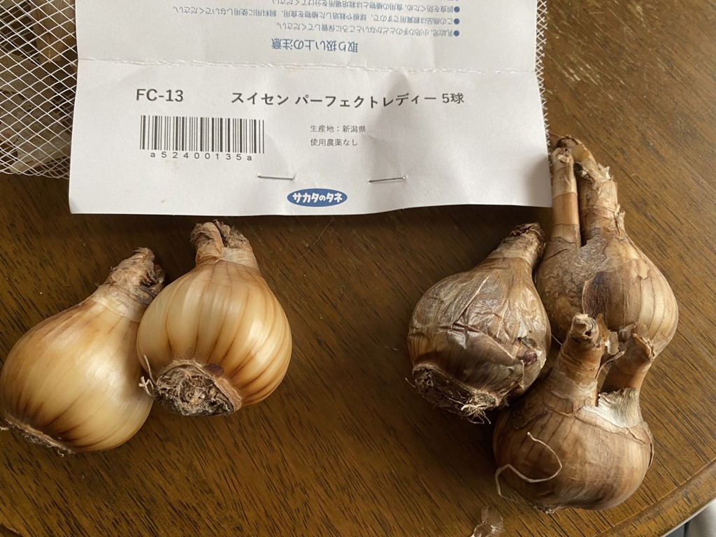 ユーザー写真