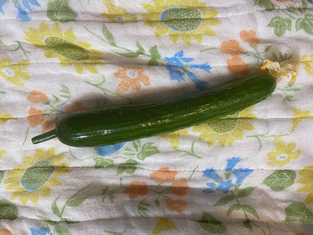 ユーザー写真