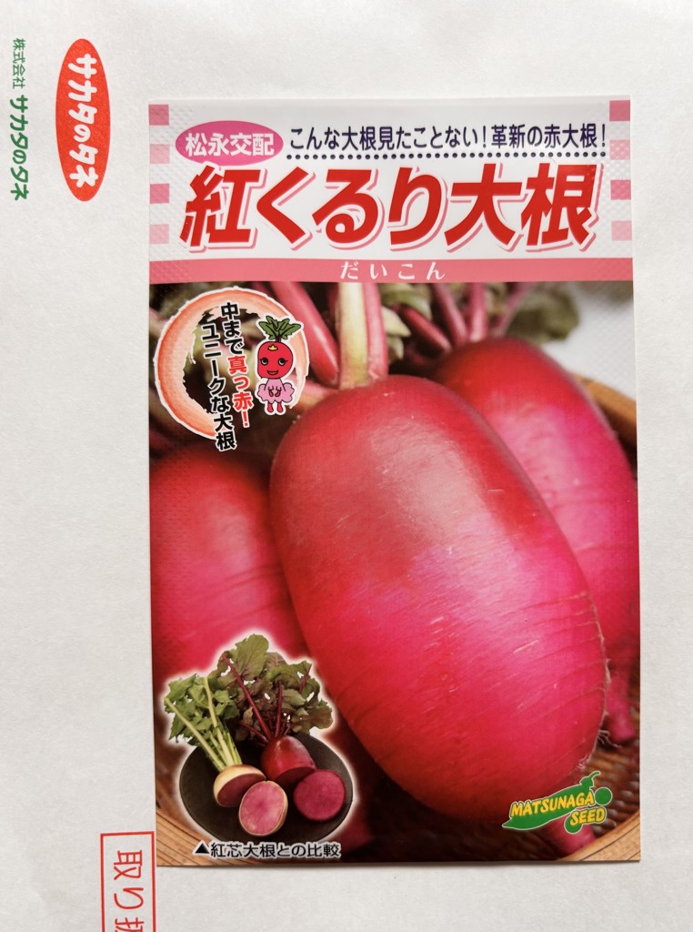 投稿写真