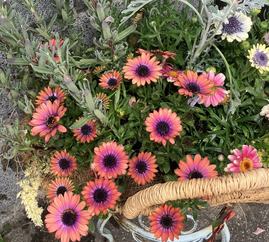 ユーザー写真