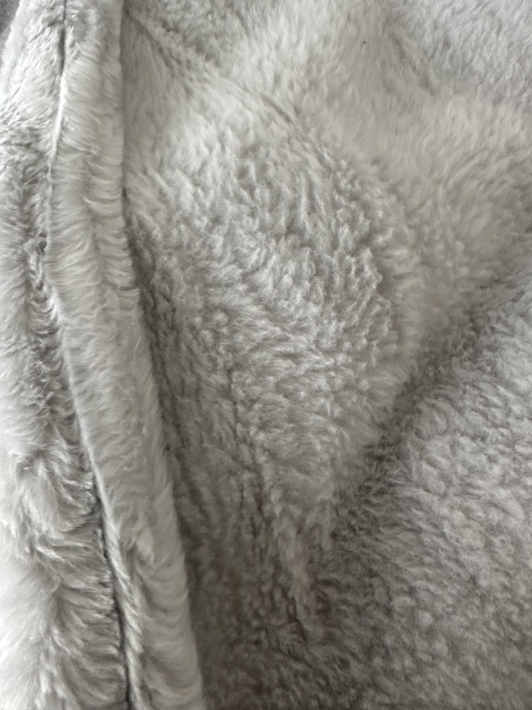 投稿写真