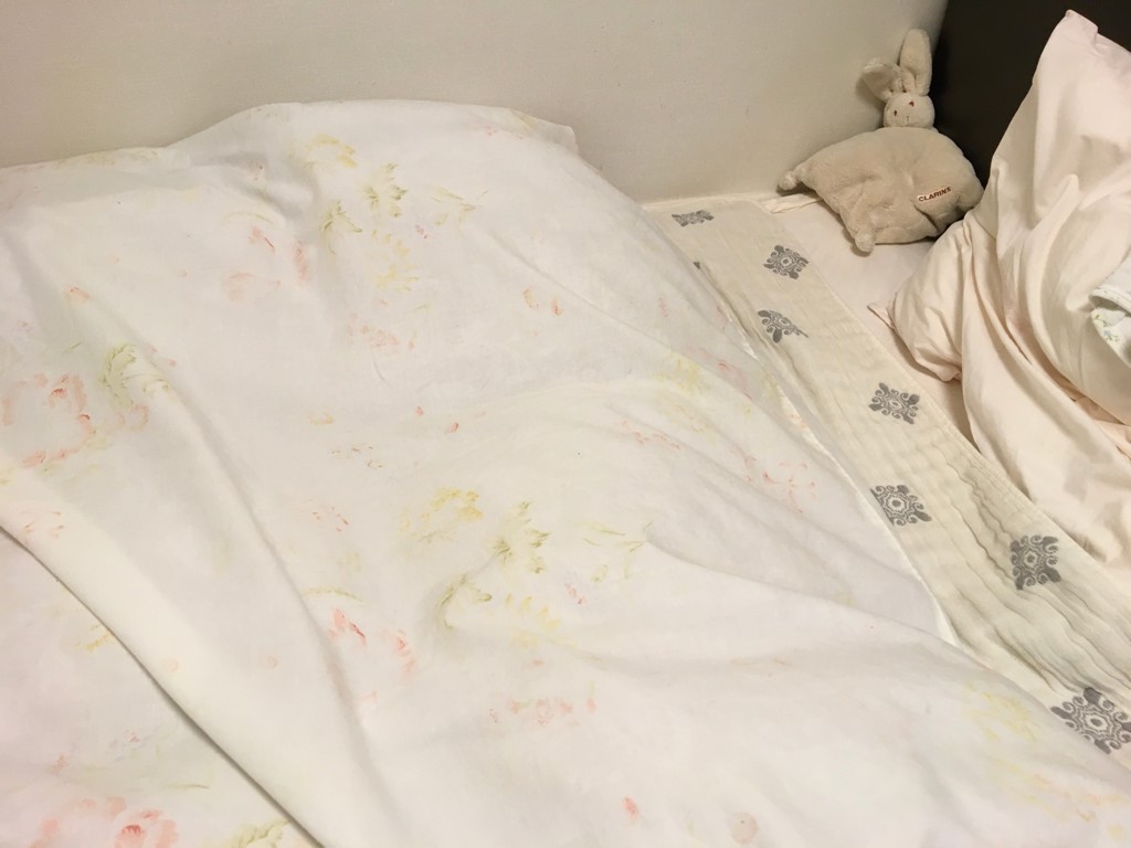 投稿写真