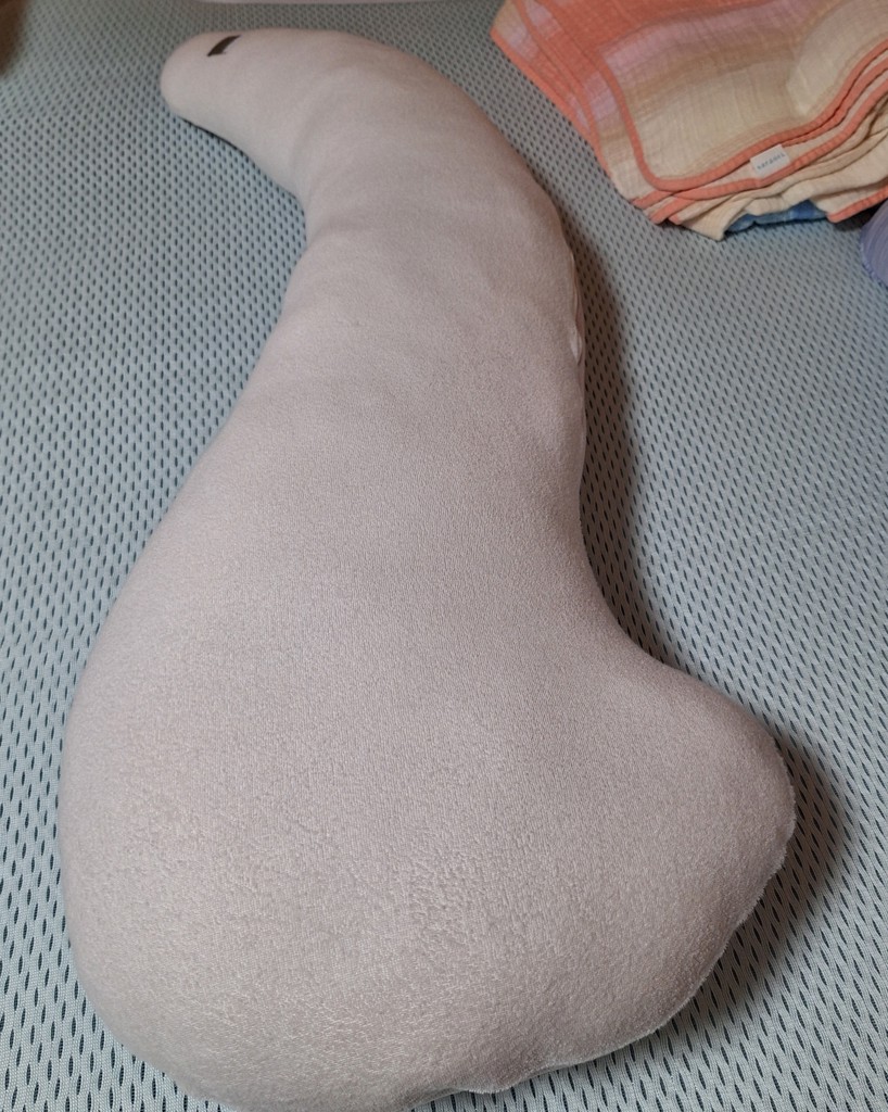 投稿写真