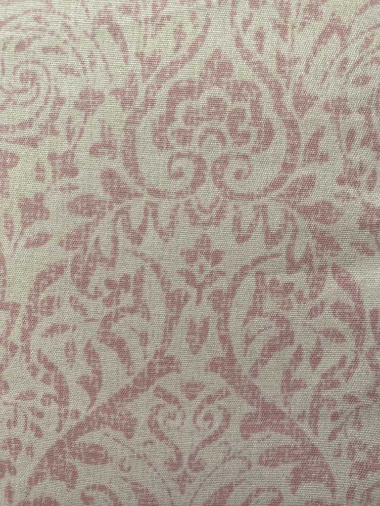 投稿写真