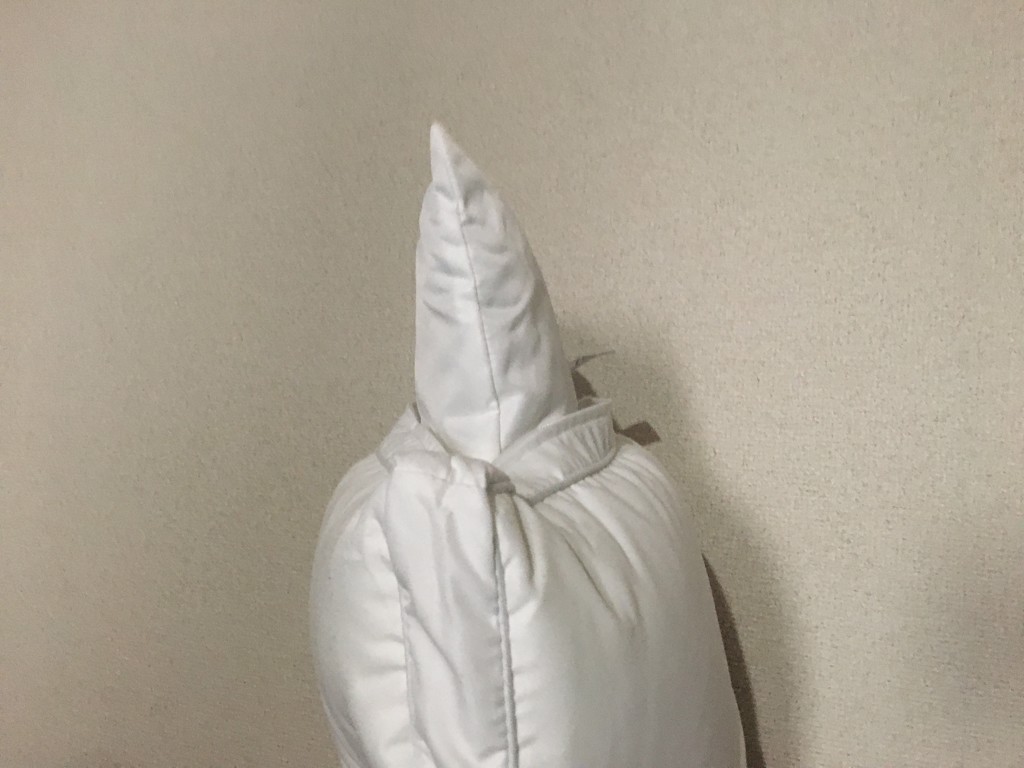 投稿写真