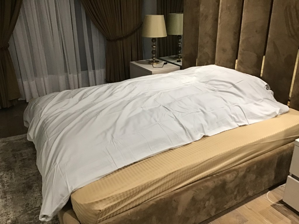 投稿写真