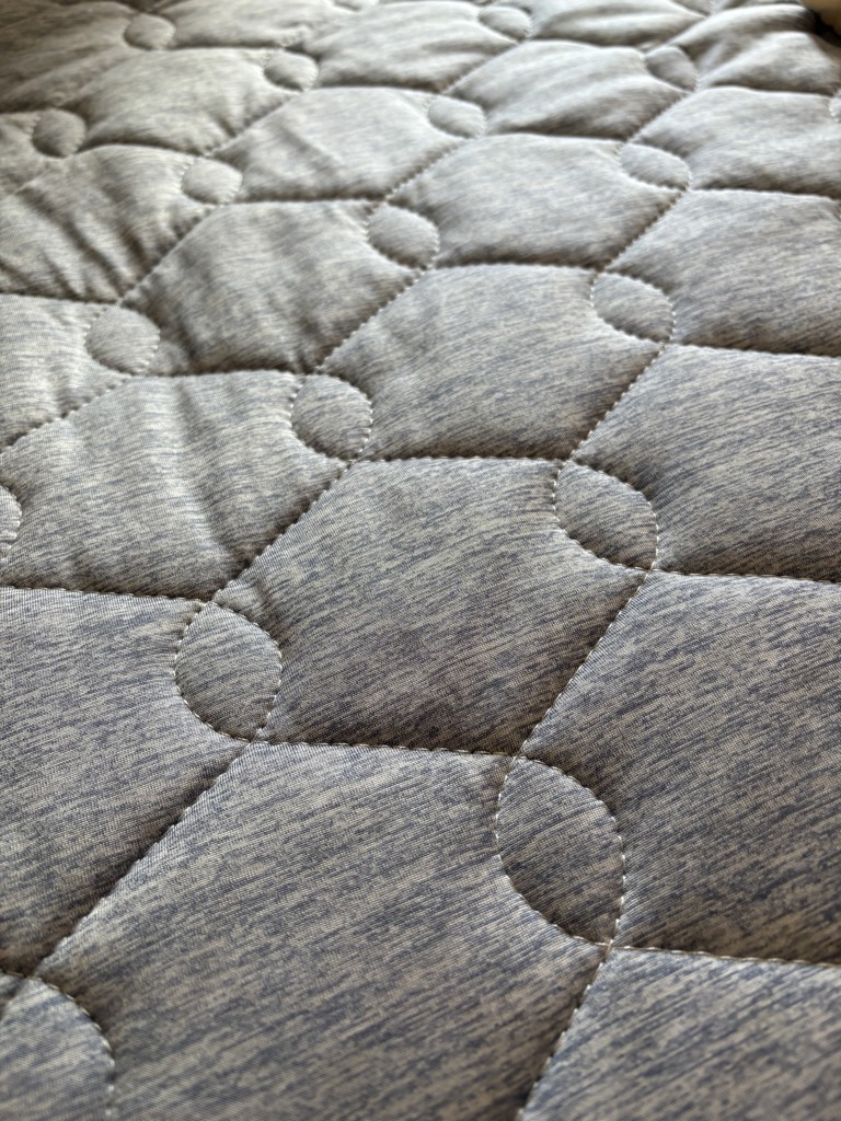 投稿写真