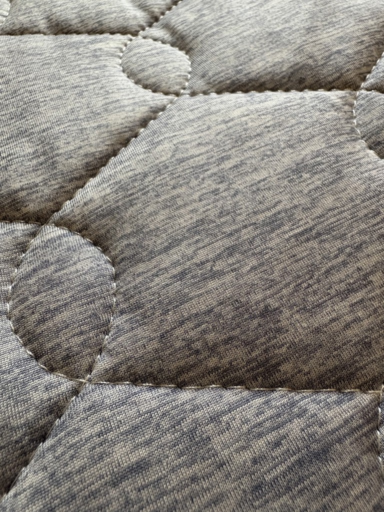 投稿写真