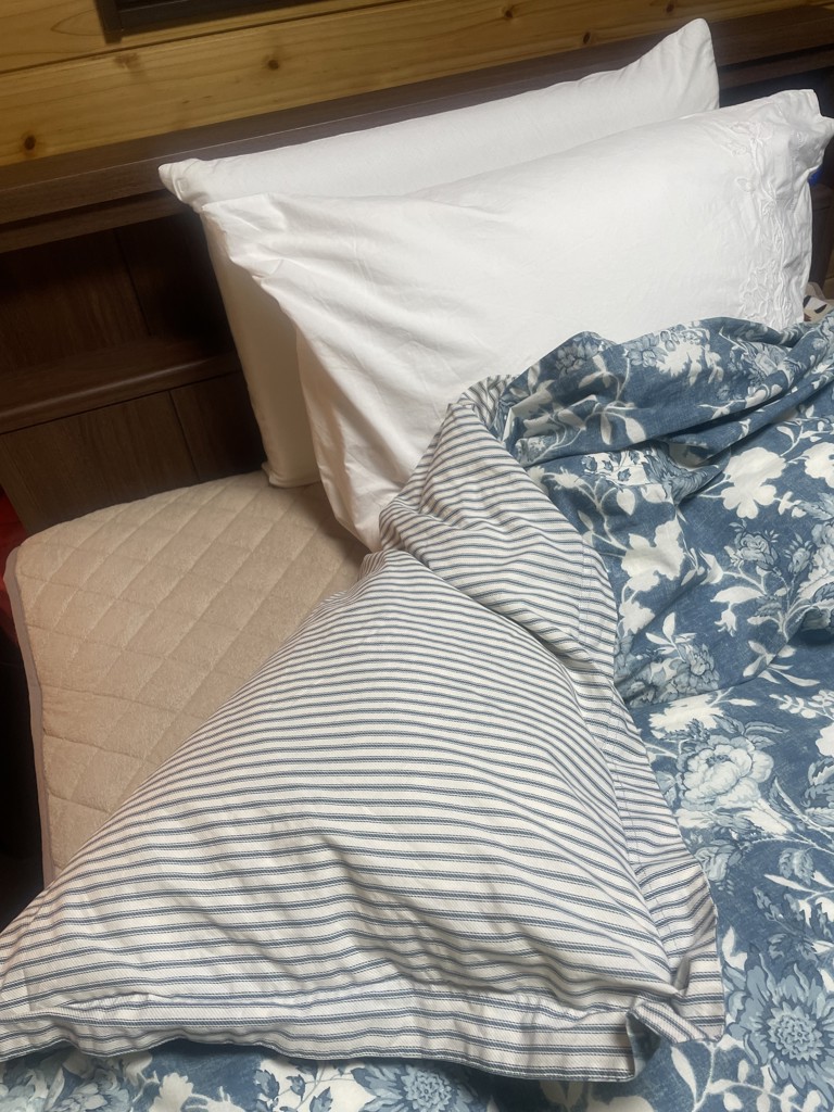 投稿写真